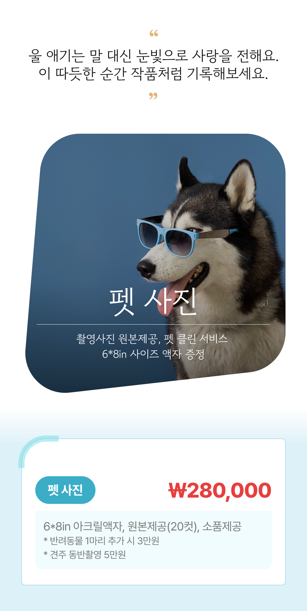 상세페이지-펫.png
